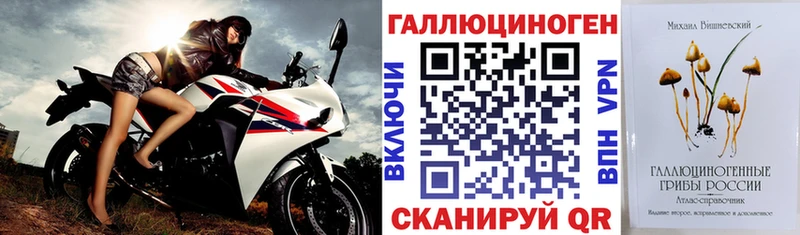 kraken онион Ак-Довурак Галлюциногенные грибы ЛСД